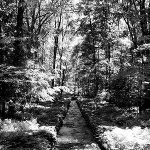 Meet your Posher, Luiza